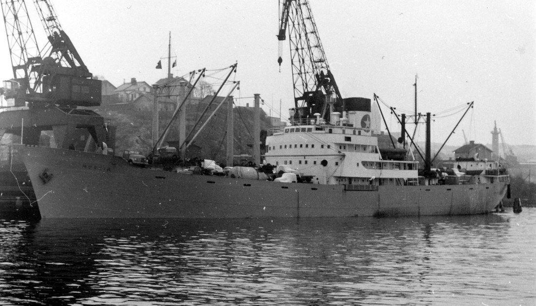 deilige norske jenter escorte trondheim deilige norske jenter escorte trondheim
