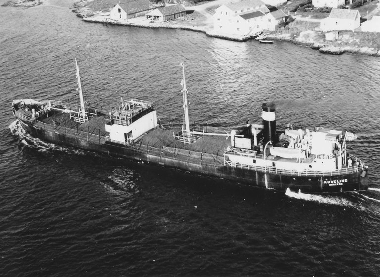 ANGELINE 40 aft Opedal  24b ANGELINE 40 aft Opedal  24b