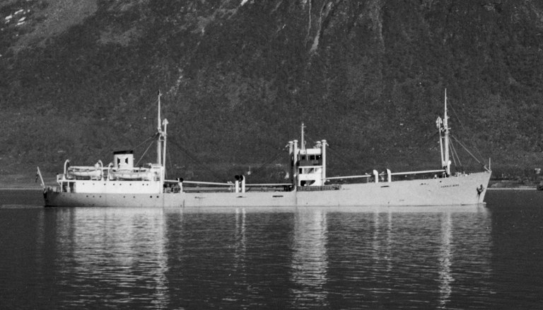 HARALD BERG i Trø 6 57 Arthur Sjøblom 25b HARALD BERG i Trø 6 57 Arthur Sjøblom 25b