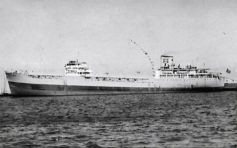 AMIE 48 Teneriffe 17 7 60 