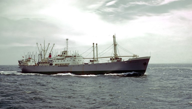 Arctic Gull 58 Adrian Hagen Arctic Gull 58 Adrian Hagen