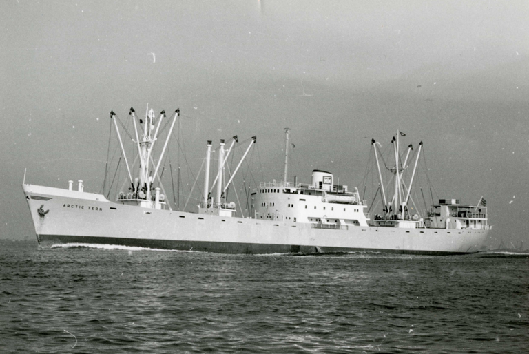 ARCTIC TERN 60 MV&D ARCTIC TERN 60 MV&D