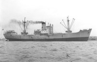 EBANA 48 