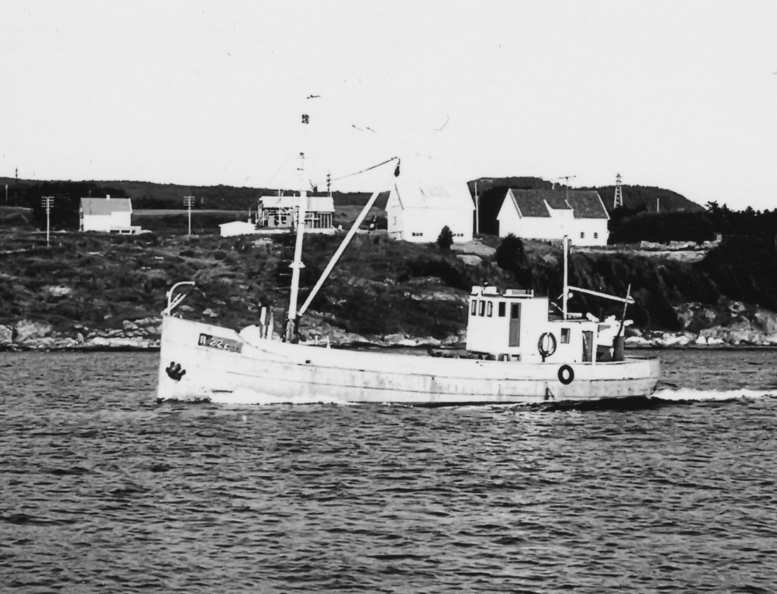 Hvite Sektor H 222 F Hvite Sektor H 222 F