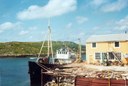 Haukøy 02 Kvedfjord Gos Haukøy 02 Kvedfjord Gos