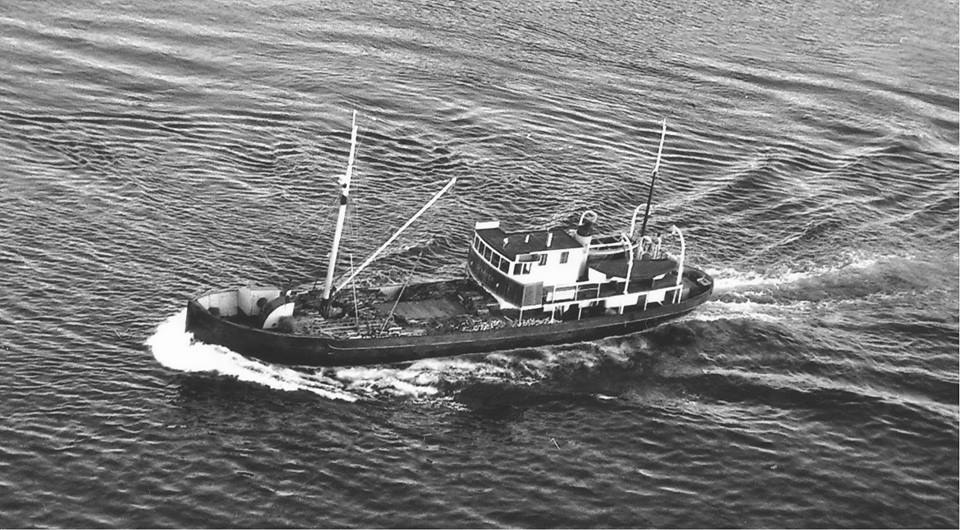 Skarven Råkvåg Skarven Råkvåg