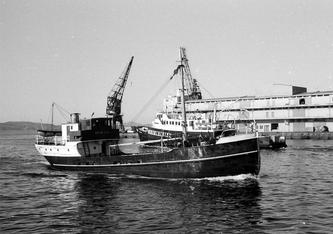 Dyre Vaa (3 1975) Dyre Vaa (3 1975)