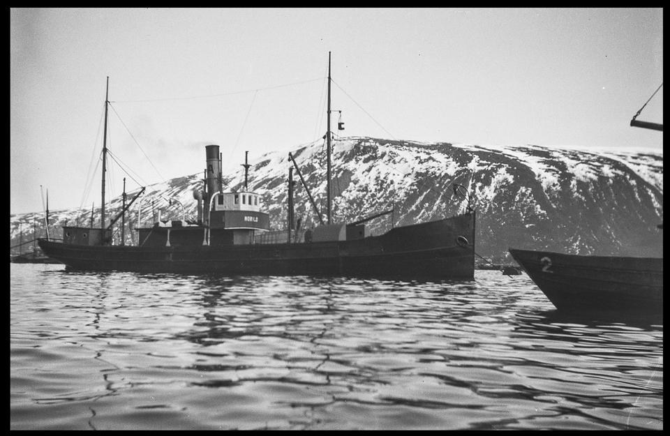 Morild Ex Skjold Morild Ex Skjold