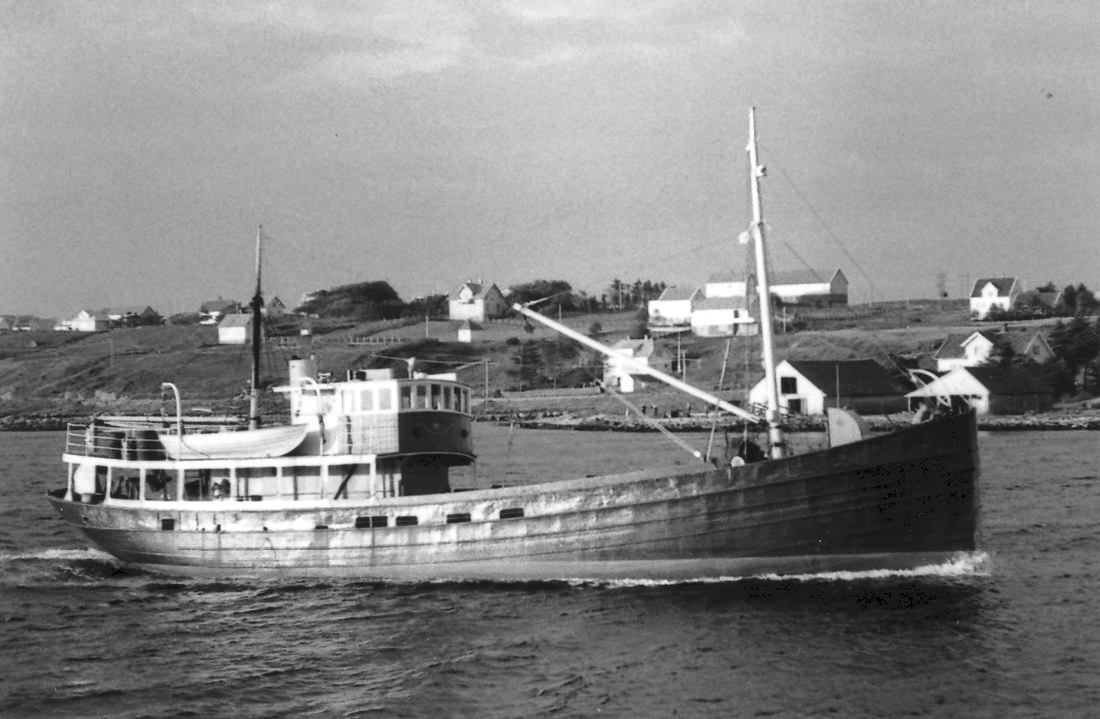 Meløy Jenssen Meløy Jenssen