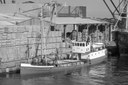 Eno 1899,Ob Laksevågneset (8 5 1978) Eno 1899,Ob Laksevågneset (8 5 1978)