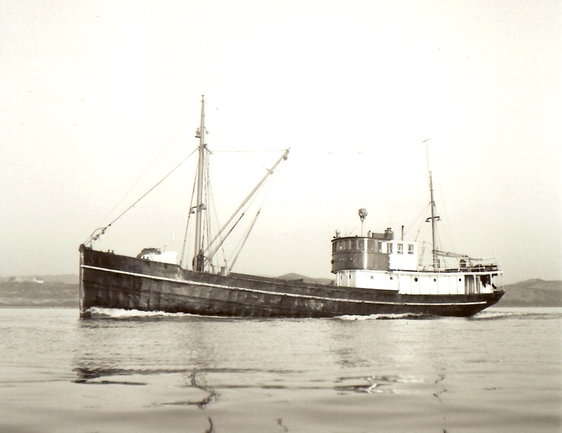 Sjødraat I Haugesund (5) Foto Fra Jensen Samlingen