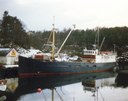 Sks (12 1986) Finnås Ajk Sks (12 1986) Finnås Ajk