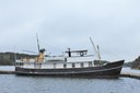 Viljen, Ed Marina (16 02 2014), Tbj 1 Viljen, Ed Marina (16 02 2014), Tbj 1