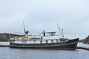 Viljen, Elite (16 02 2014), Tbj 1 Viljen, Elite (16 02 2014), Tbj 1