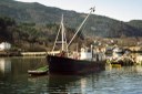 Agnøy (1991) Uskedalen Harald Sætre Agnøy (1991) Uskedalen Harald Sætre