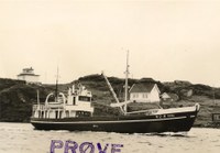 MMS 16 FØYMA MMS 16 FØYMA