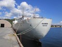 Hamen av Bergen Hamen av Bergen