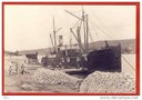 DS Ca 1895 DS Ca 1895