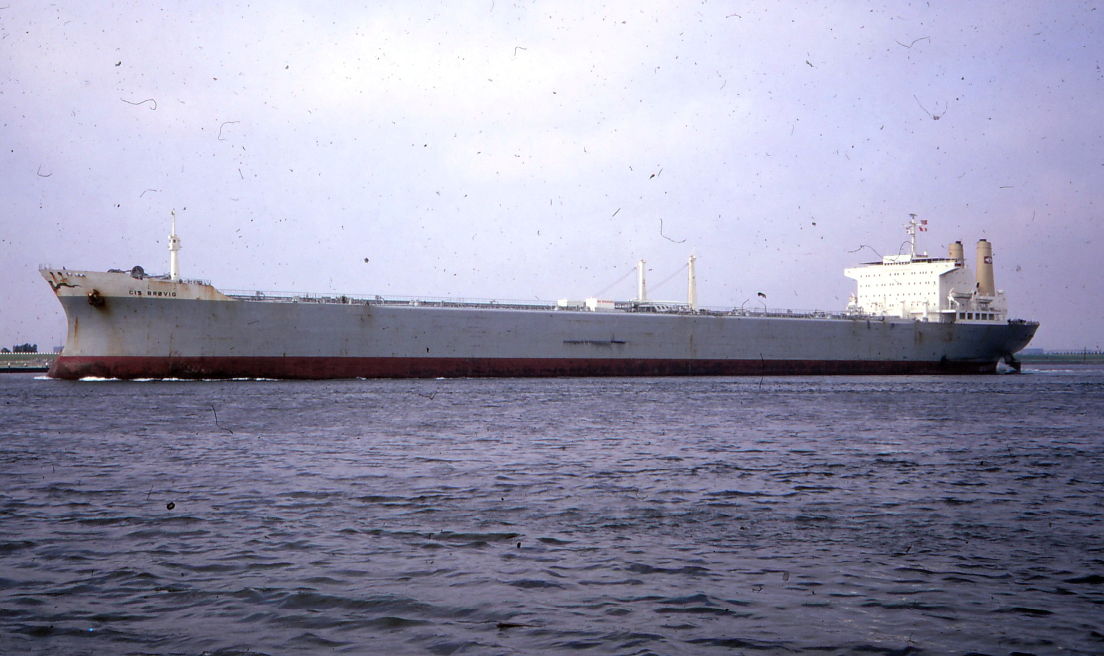 CIS BRØVIG 1969