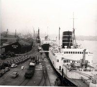 Leda Venus Tyne (Mai 1954)