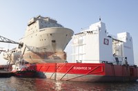 Boa Bison (2013.05.18)