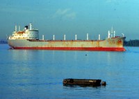 Polytrader (1975) Lite