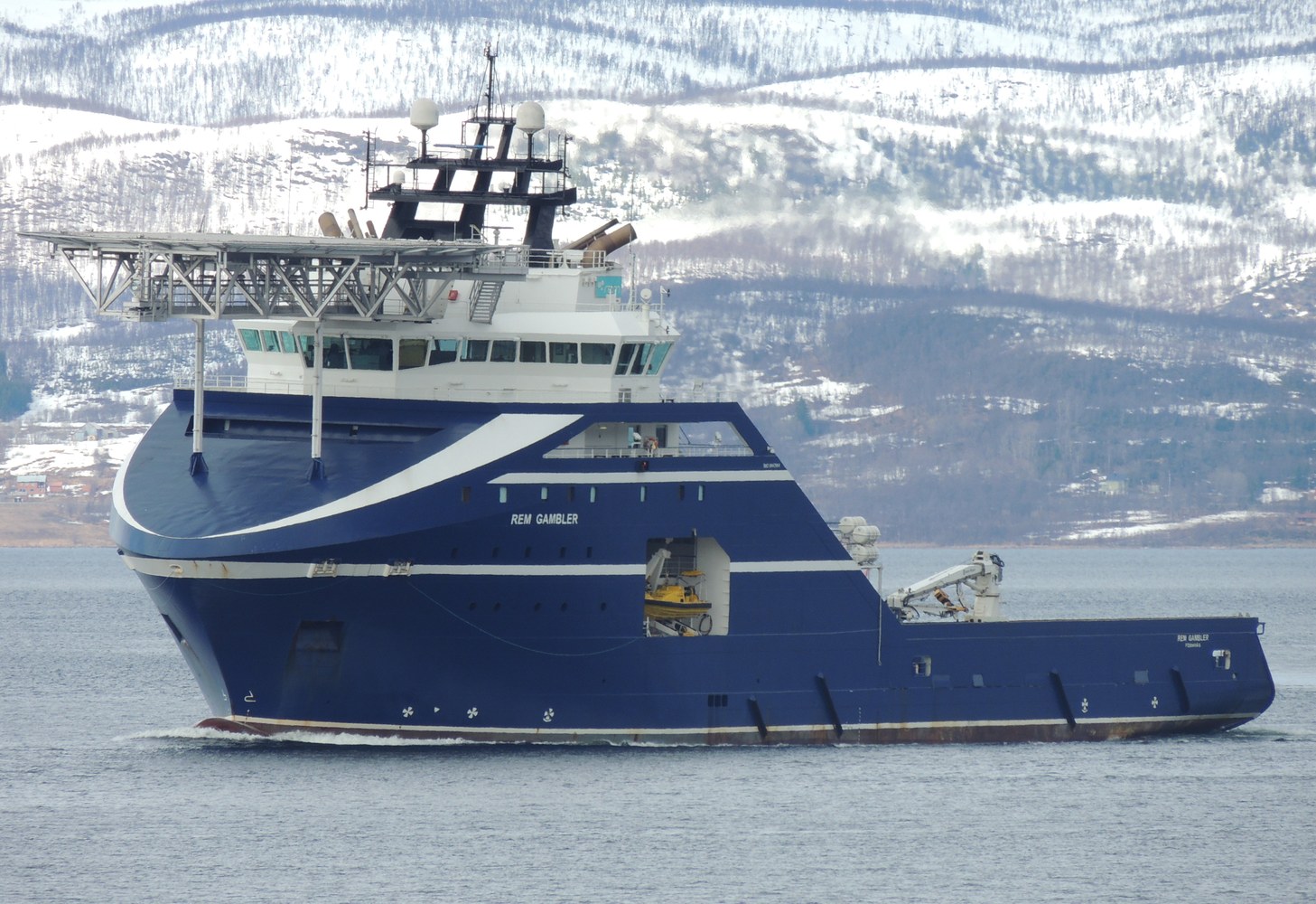 Rem Gambler  (15.5 2013)