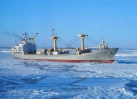 Sol Michel (12 1976) Lite