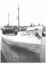 Hochmeister Ex Skokholm B Hochmeister Ex Skokholm B