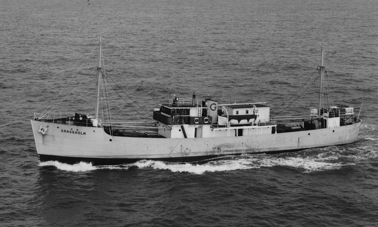 Esc 23 Grassholm Fly Esc 23 Grassholm Fly