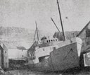 Esc 24 Lyngaas (1944) Esc 24 Lyngaas (1944)