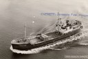 Esc 33 Einar Hund 42 Esc 33 Einar Hund 42