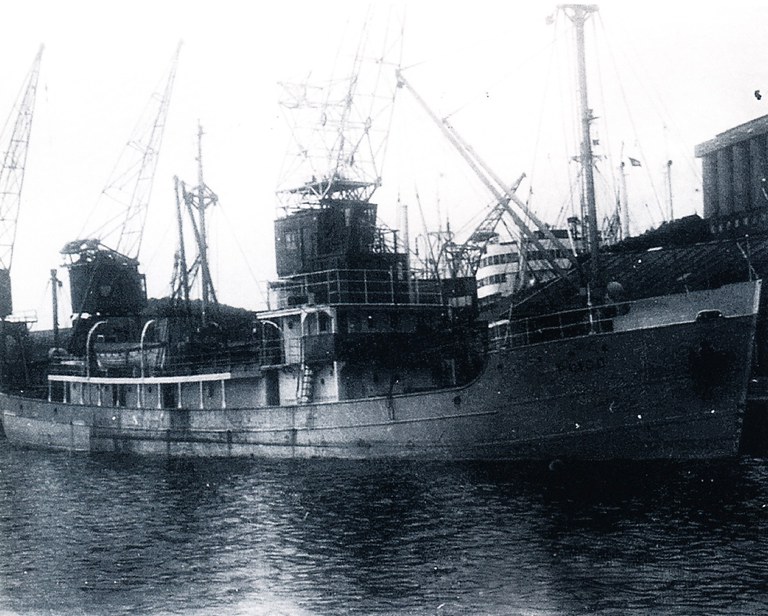 Esc 36 Plico 44 Esc 36 Plico 44