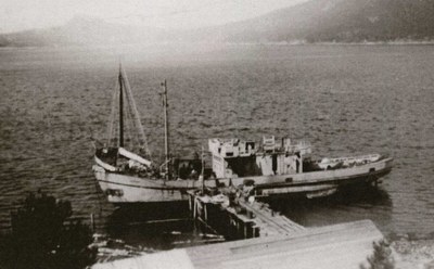 MMS 173 1 Taftøy MMS 173 1 Taftøy
