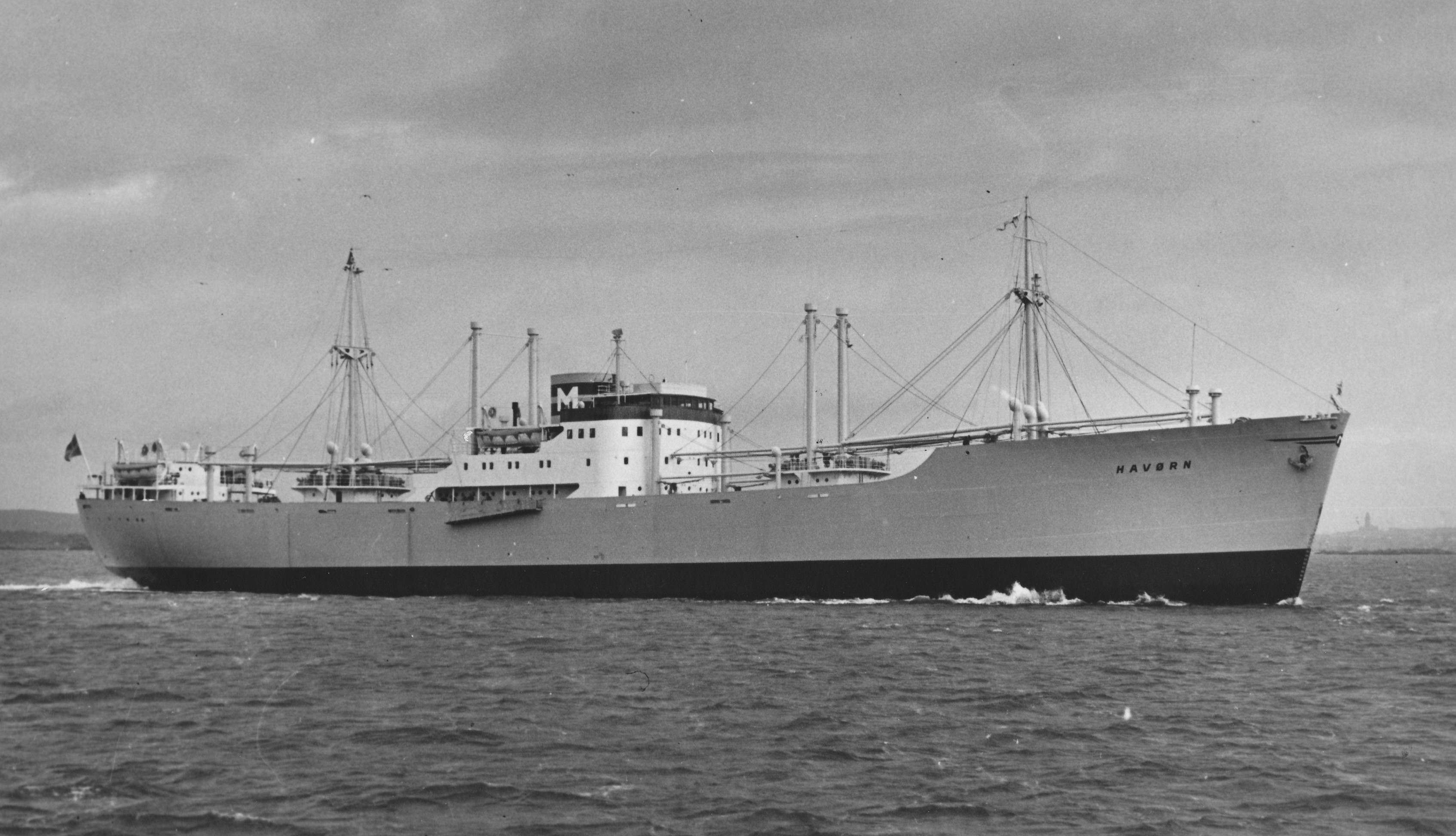 Havørn (1949) Lev