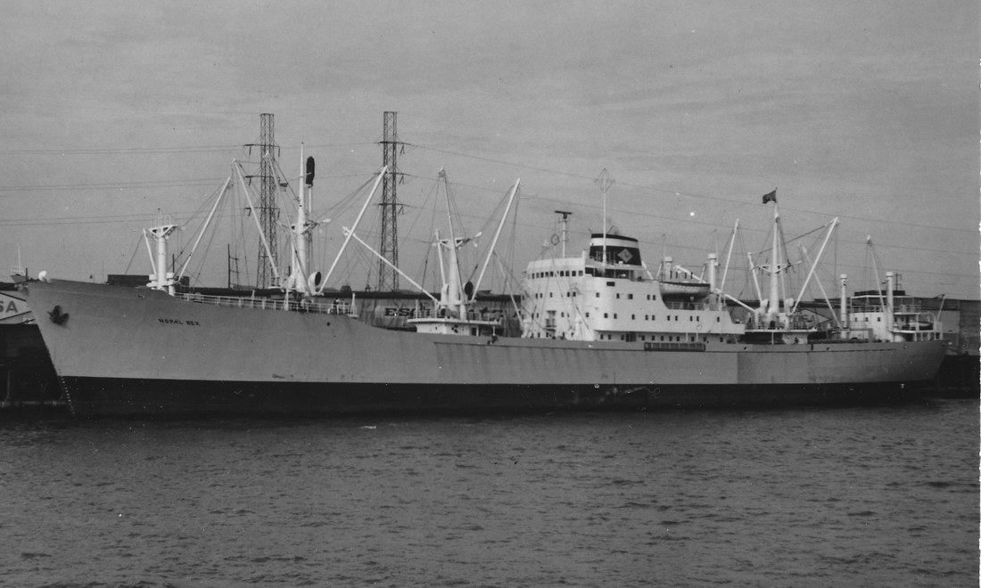 Nopal Rex (1963) Earlville Nopal Rex (1963) Earlville