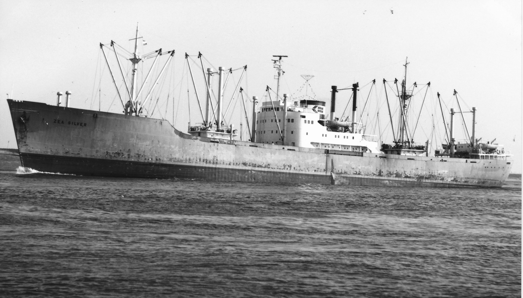 Zea Silver (1953) Havmøy