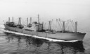 Havhøk 1955