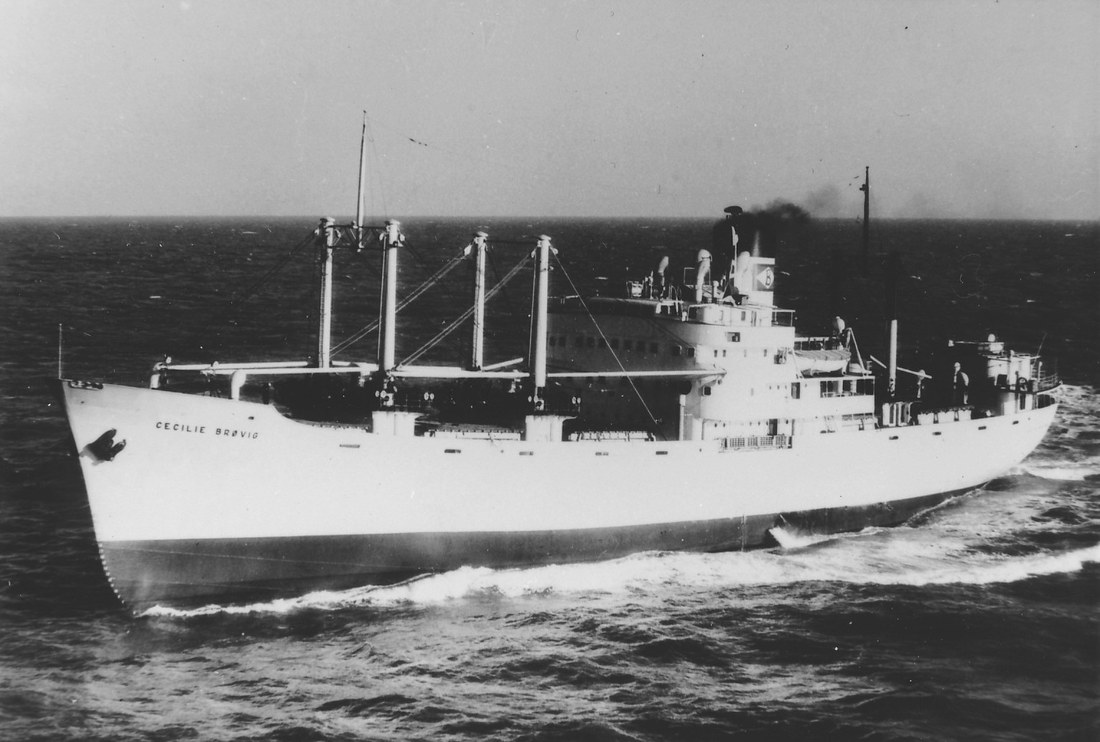 Cecilie Brøvig (1949) Cecilie Brøvig (1949)