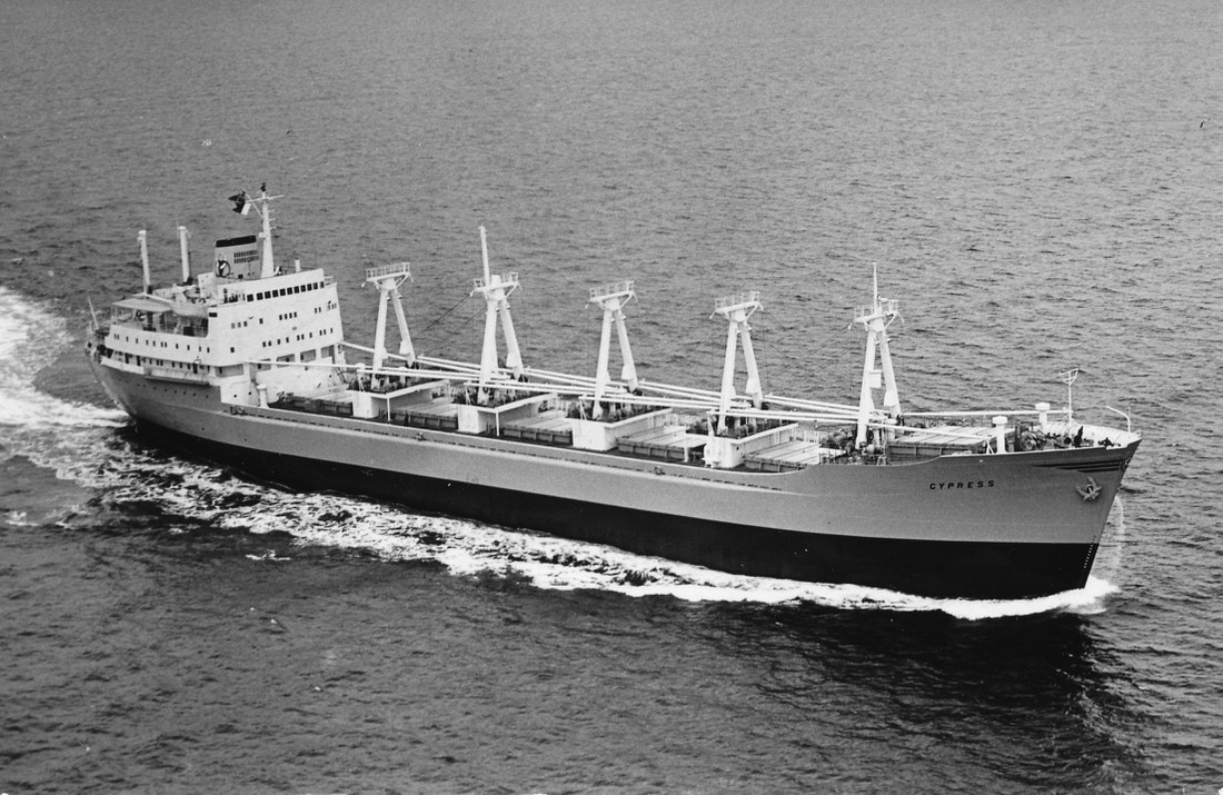 Cypress (1963) Lev Cypress (1963) Lev