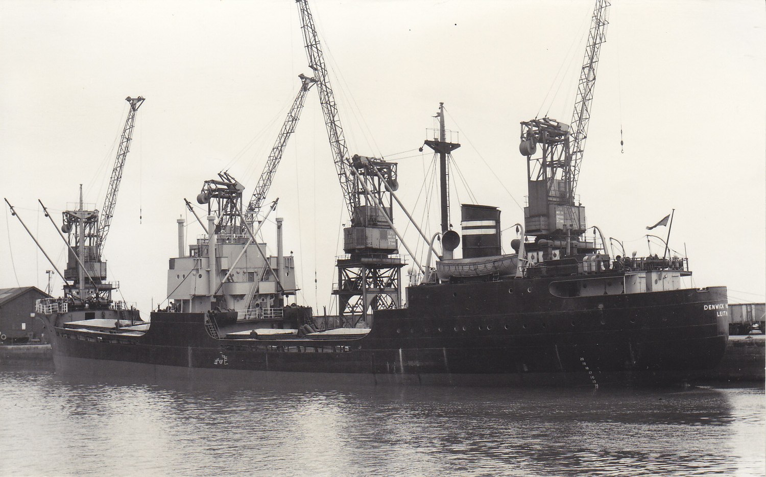 Denwick Head Ex Ingwi Charlie Hill