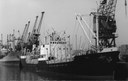 Pax (1947) Ex Vigsnes J Clarkson Pax (1947) Ex Vigsnes J Clarkson