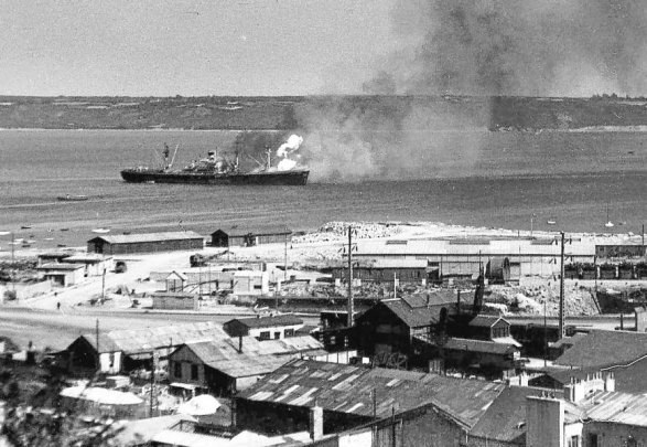 Ocean Liberty Brann 47