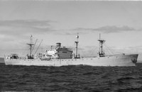 29 FLORENTINE 29 FLORENTINE