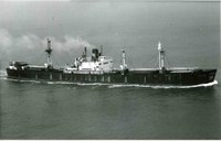 40 SOLFA - NORSE LADY - DANIO 40 SOLFA - NORSE LADY - DANIO