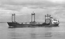 Bongo (1961) Stewart Bale Lvp Bongo (1961) Stewart Bale Lvp