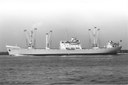 Arctic Tern (1958) Arctic Tern (1958)