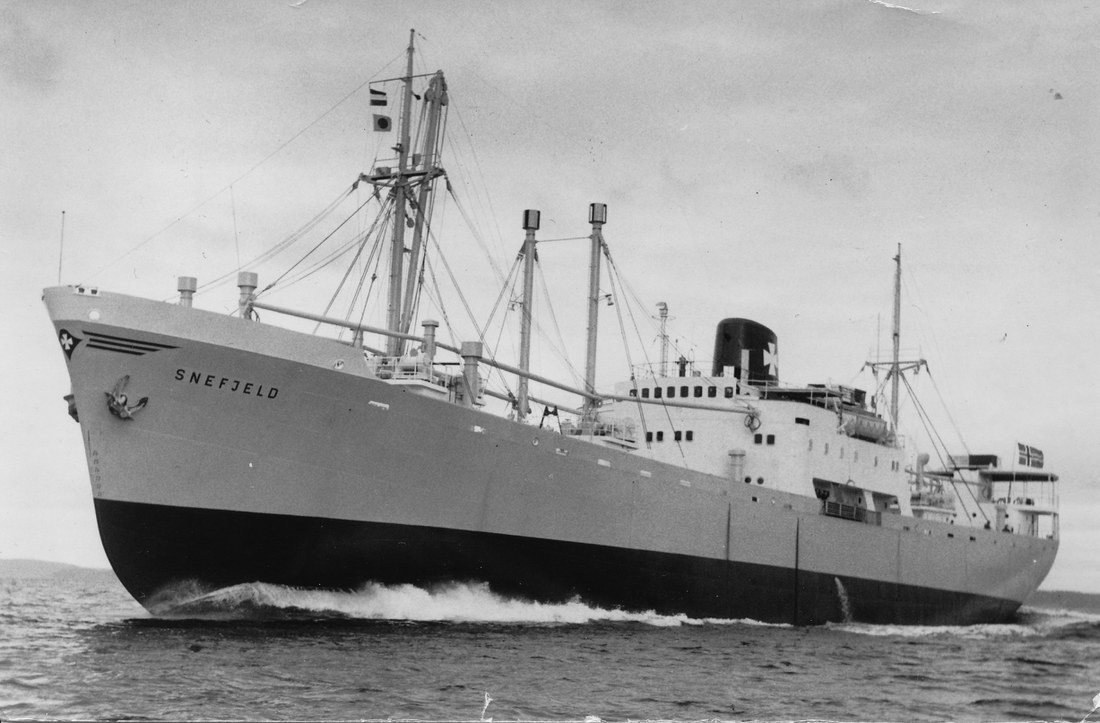 Snefjeld (1957) Lev Snefjeld (1957) Lev
