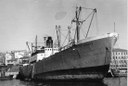 Bonita 1951