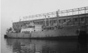 Bonita 1954